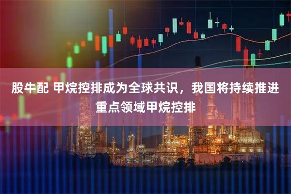 股牛配 甲烷控排成为全球共识，我国将持续推进重点领域甲烷控排