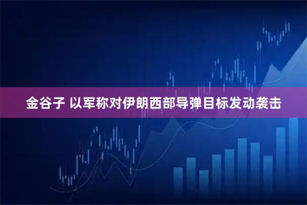 金谷子 以军称对伊朗西部导弹目标发动袭击