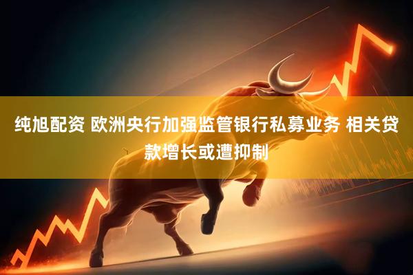 纯旭配资 欧洲央行加强监管银行私募业务 相关贷款增长或遭抑制