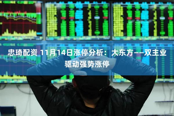 忠琦配资 11月14日涨停分析：大东方——双主业驱动强势涨停