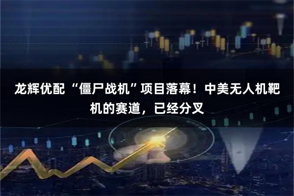 龙辉优配 “僵尸战机”项目落幕！中美无人机靶机的赛道，已经分叉