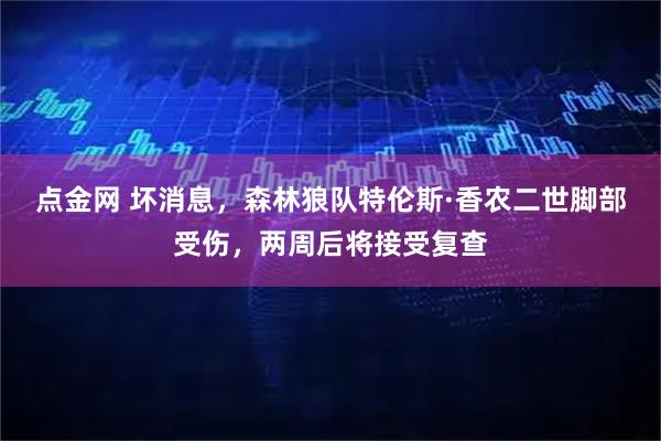 点金网 坏消息，森林狼队特伦斯·香农二世脚部受伤，两周后将接受复查