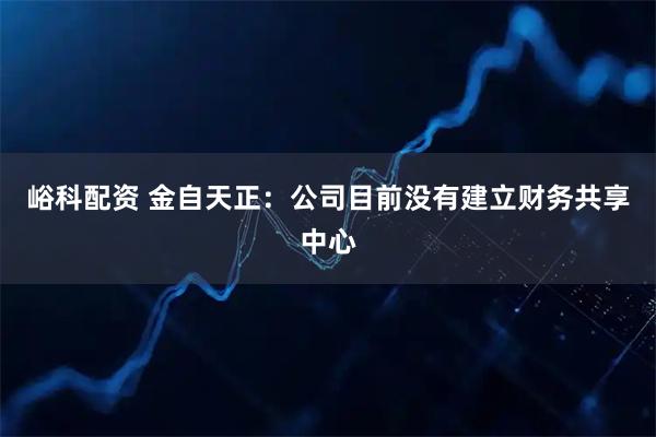 峪科配资 金自天正：公司目前没有建立财务共享中心
