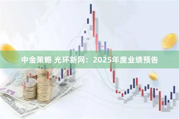 中金策略 光环新网：2025年度业绩预告